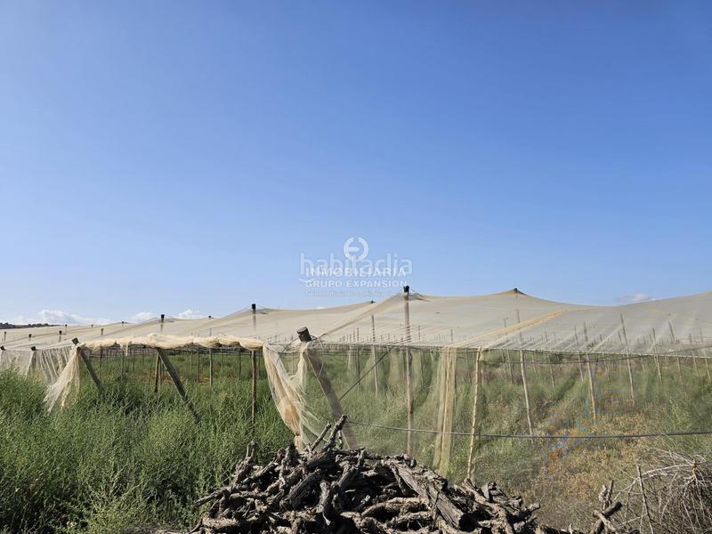 Foto 585a84f1-5a70-4932-a2e3-d189ad7916e1. Chalet dans Monforte del Cid