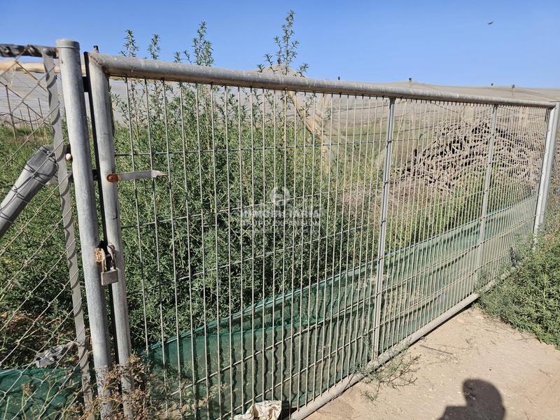 Foto c443113a-c170-42be-9b3d-cc8f33371b6a. Chalet dans Monforte del Cid