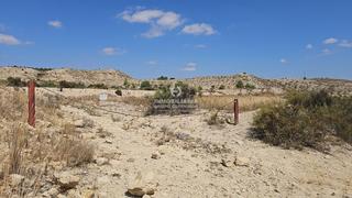 Finca rústica en El Castillo. Terreno en aspe de 6.745 m muy bien situado  zona borisa