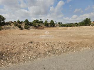 Finca rústica a Novelda. Terreno en novelda de 6.000 m muy bien situado