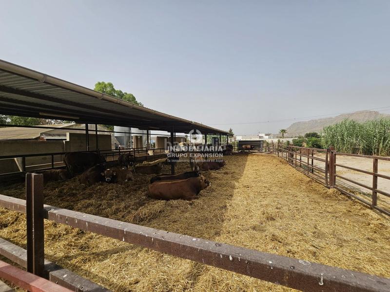 Foto 11e96208-eeff-465d-892d-a8ab2408ee06. Chalet dans Babel Alicante