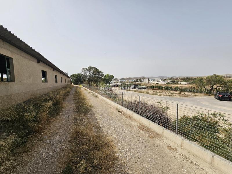 Foto 141328ba-8753-4a02-86fe-cd60fee7bc40. Chalet dans Babel Alicante