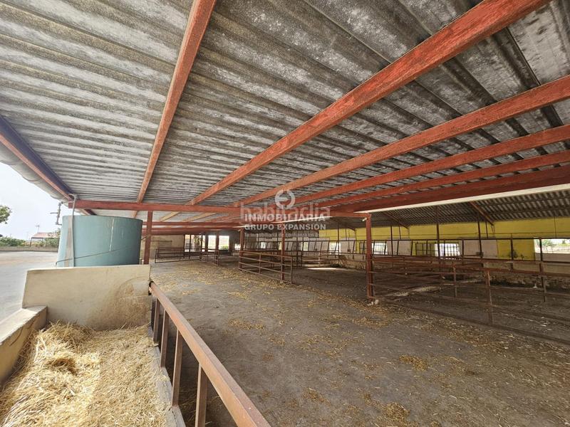 Foto 145dc088-dd08-4108-b1fe-70b6d68e3255. Chalet dans Babel Alicante