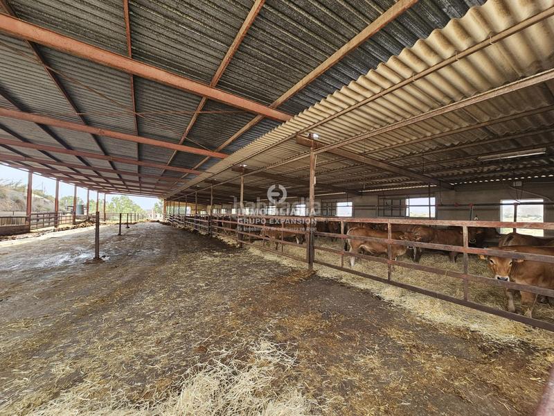 Foto 198708fd-e4f9-4455-bf0d-454d93032156. Chalet dans Babel Alicante