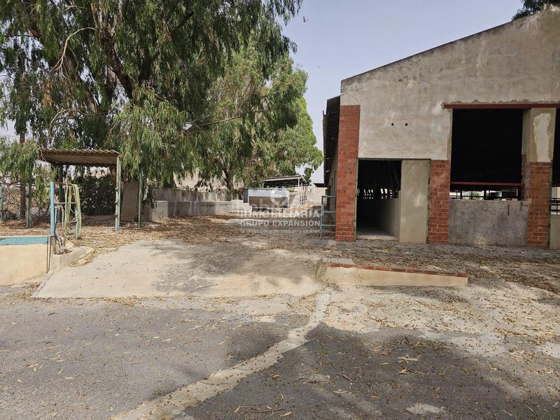 Foto 2b898048-1735-4dea-97cf-f83b6ff8aff8. Chalet dans Babel Alicante