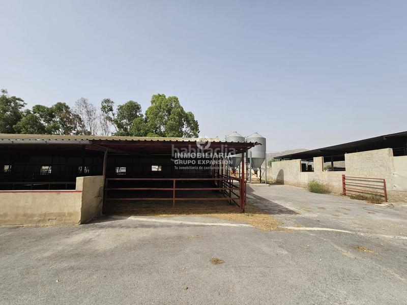 Foto 3a901694-32f4-41b3-b290-985c2b267b5a. Chalet dans Babel Alicante