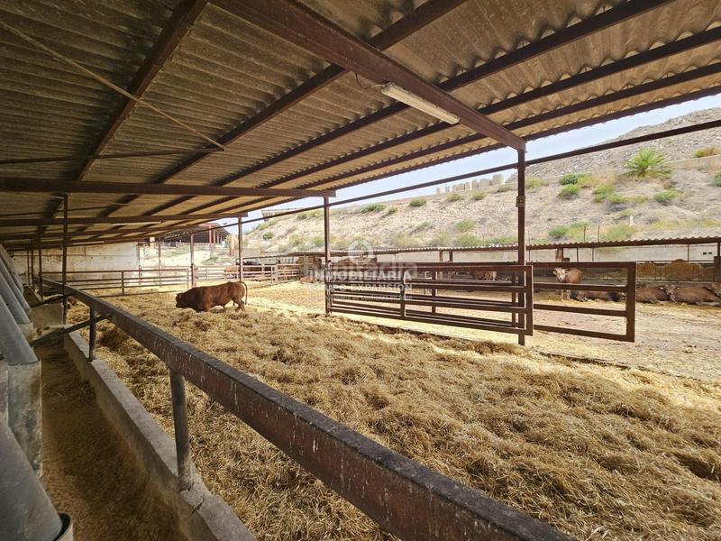 Foto 65b1dace-44e5-4fe7-8b47-c9f8af30fc01. Chalet dans Babel Alicante