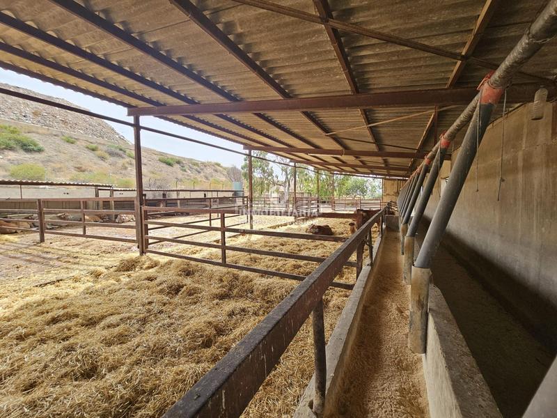 Foto 6a2bd271-a9dc-4912-a31d-3446cf0f996a. Chalet dans Babel Alicante