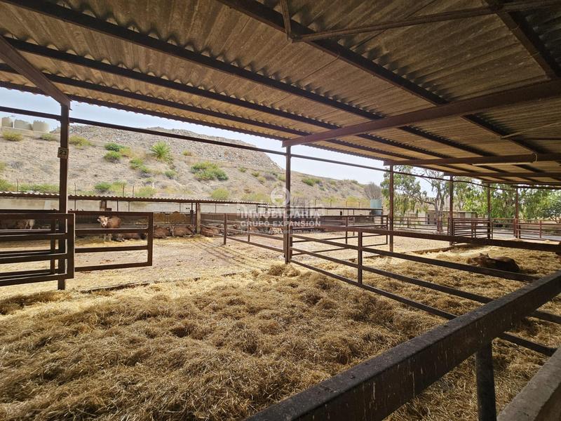 Foto 8105207b-ec7d-4c5f-a6d7-4c10219141b3. Chalet dans Babel Alicante