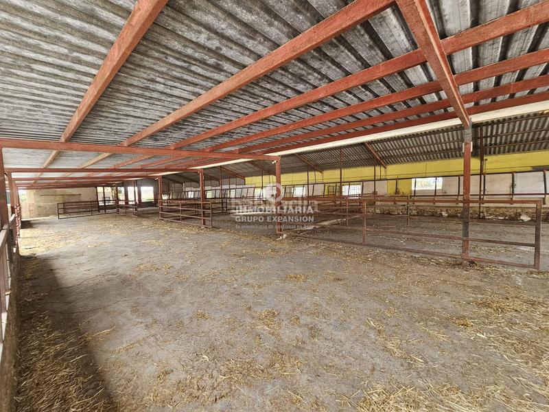 Foto 99bacc2c-de53-4abe-86ac-bee8d052ae6b. Chalet dans Babel Alicante