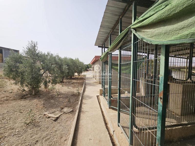 Foto 9c6efc60-67d8-411d-bafb-0a723882e58b. Chalet dans Babel Alicante