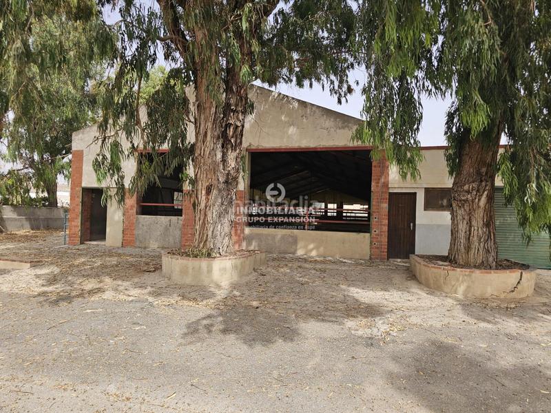 Foto a0550a83-5ab0-4038-80d9-492a68888b7d. Chalet dans Babel Alicante