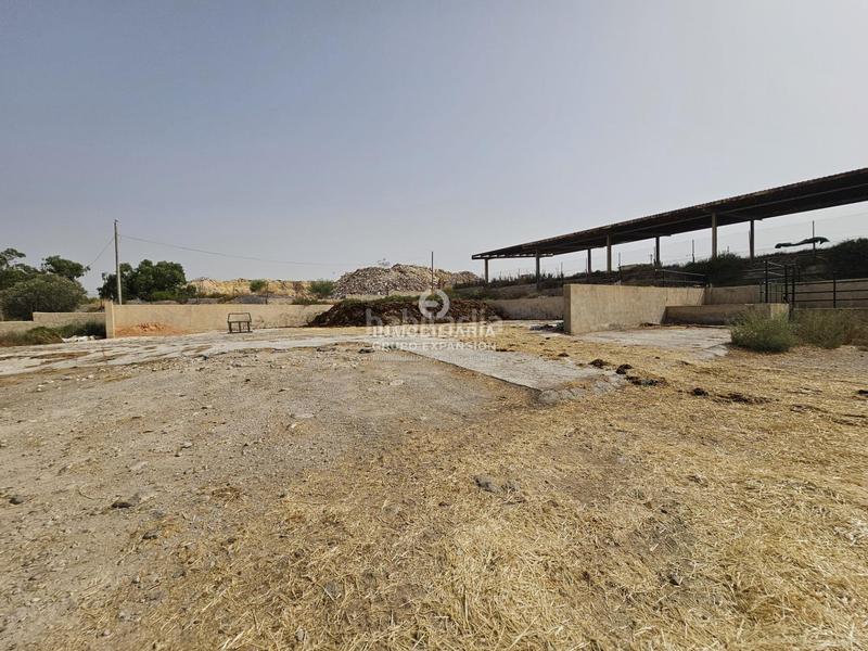 Foto ac857833-b1e1-4b06-be2f-4731fb952fcf. Chalet dans Babel Alicante