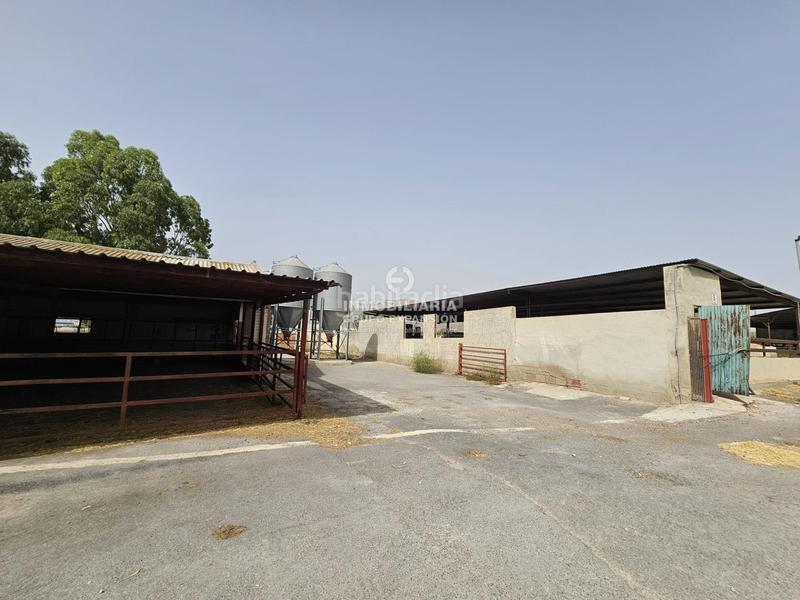 Foto d393fdef-0b5a-4dfd-afa8-18f84820e98e. Chalet dans Babel Alicante