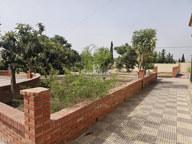 Foto e8d458bc-6860-4e4a-95d4-a1d8770dd2f0. Chalet dans Babel Alicante