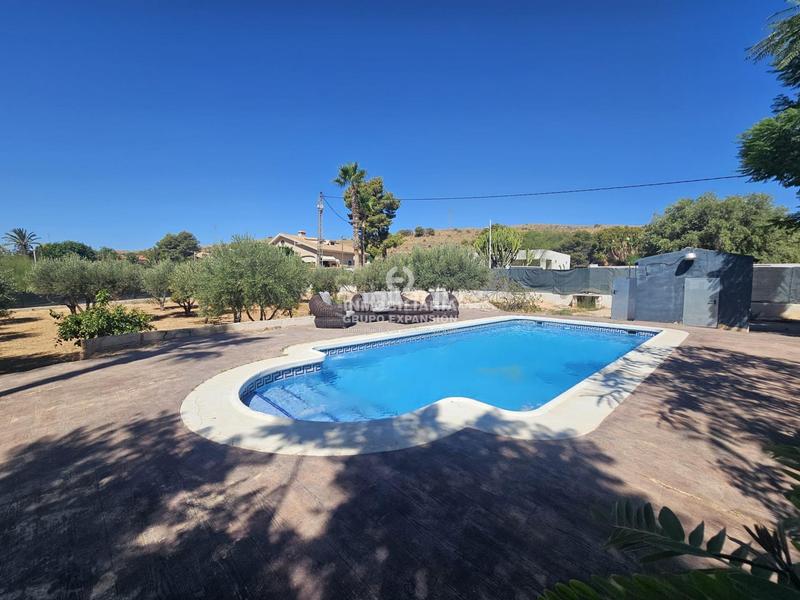Foto 1aad43f5-1465-451b-88b8-78046b64dc1a. Chalet espectacular chalet de lujo en elche de 300 m con piscina muy bien situado en Elche / Elx