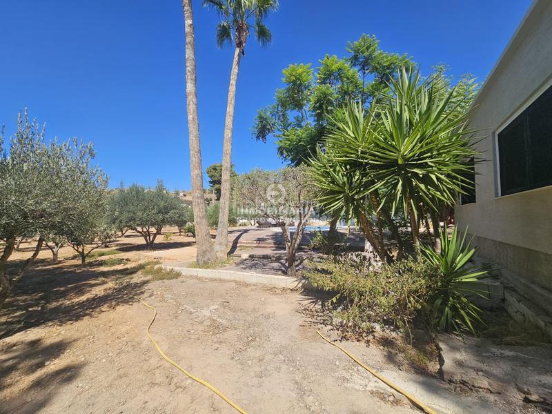 Foto 958435f3-89b5-4264-bd56-d90ce7cf699b. Chalet espectacular chalet de lujo en elche de 300 m con piscina muy bien situado en Elche / Elx