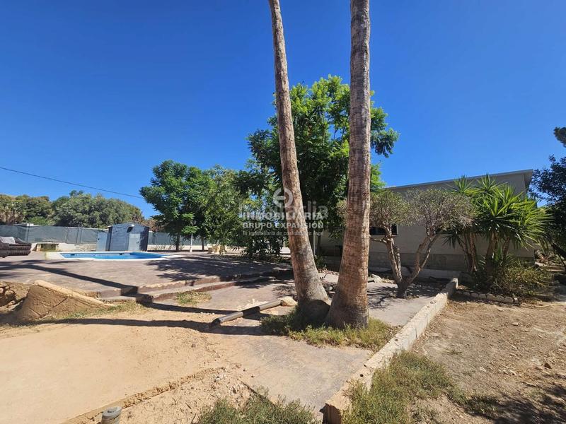 Foto d62b3a78-e82a-4757-b370-6067be1a42af. Chalet espectacular chalet de lujo en elche de 300 m con piscina muy bien situado en Elche / Elx