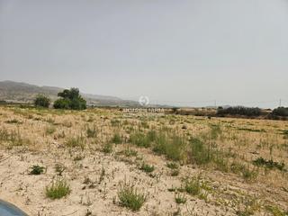 Finca rústica en Romana (la). Terreno en la romana de 12.000 m2 muy bien situado