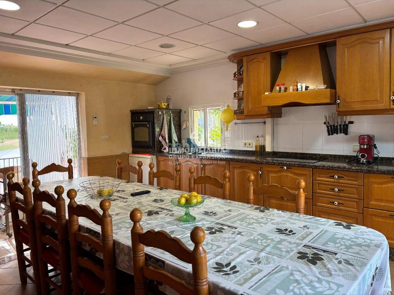 Foto 4f27f6aa-e77e-4ef4-92cc-bb97e3220ab8. Xalet amb piscina a Centro Elche / Elx