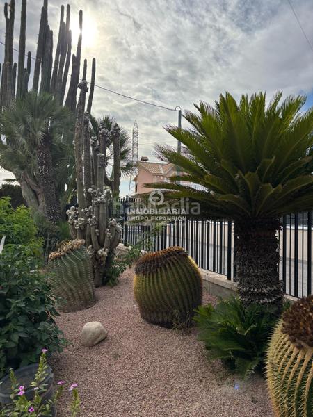 Foto a7d3bdeb-7189-4ff7-a870-4e6bef64f6d8. Xalet amb piscina a Centro Elche / Elx