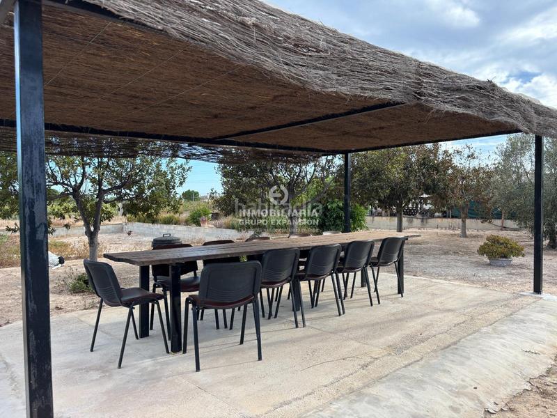 Foto b35392d4-799f-44db-a2d4-a6a1a4b7481a. Xalet amb piscina a Centro Elche / Elx