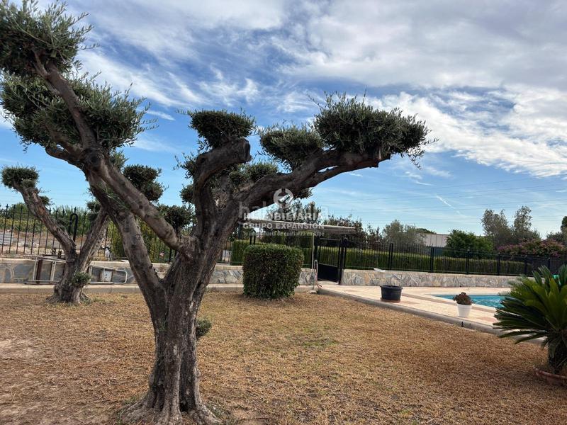 Foto d22fd2a0-dcf3-4573-bf8c-bcaa2b68975d. Xalet amb piscina a Centro Elche / Elx