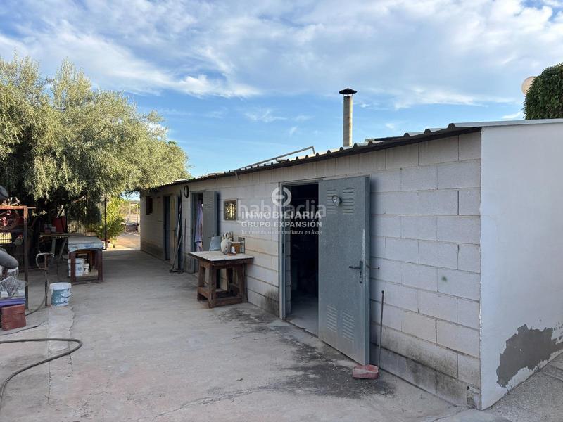 Foto d294f8c5-8b4d-4f5f-8e43-92c4d79da397. Xalet amb piscina a Centro Elche / Elx