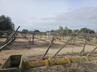 Finca rústica a Monforte del Cid. Terreno en monforte del cid de 5.200 m muy bien situado