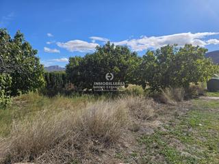 Finca rústica a Monòver. Terreno en monovar de 1.700 m muy bien situado