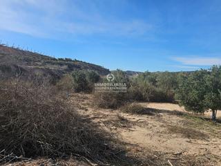 Rural plot in Monforte del Cid. Terreno en monforte del cid de 1.800 m2 muy bien situado