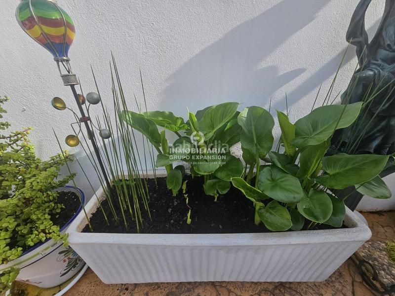 Foto 1582f06a-fe61-4557-90ae-50b90b2ddf47. Chalet mit heizung pool in Hondón de las Nieves