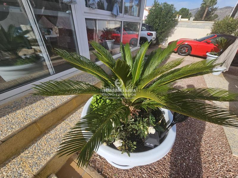 Foto 90e80734-73e6-4ed7-a1d2-40af3f8d72d7. Chalet mit heizung pool in Hondón de las Nieves