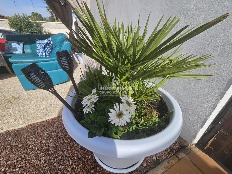 Foto da2b1493-2706-4bda-a77f-0aefba692b61. Chalet mit heizung pool in Hondón de las Nieves