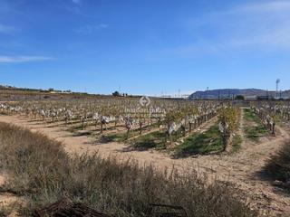 Finca rústica en Monforte del Cid. Terreno en monforte del cid de 6.200 m muy bien situado