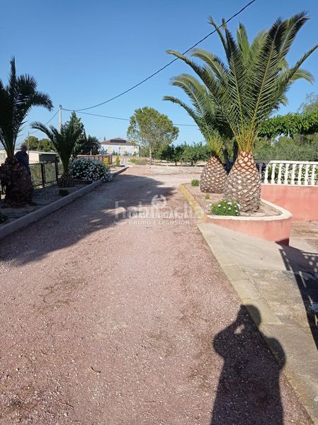 Foto 6970a076-7079-4c07-ad02-808220d96c12. Xalet a Prosperidad Aspe