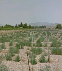 Finca rústica a Prosperidad