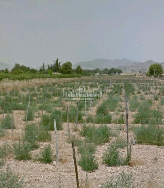 Foto 7f6b74ca-d01c-40c7-bed6-f25fc9a60359. Finca rústica a Prosperidad Aspe