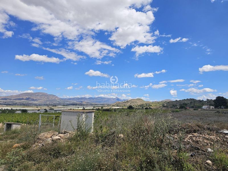 Foto 0f07b22d-f998-414b-a09d-a1bc988f58bf. Finca rústica a Monforte del Cid