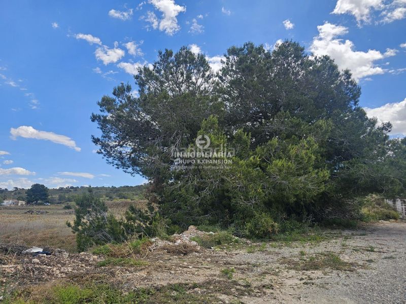 Foto 3e6c786c-b7a8-4644-8ead-423b28c207e0. Finca rústica a Monforte del Cid
