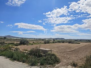 Finca rústica a Monforte del Cid