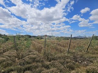 Finca rústica a Monforte del Cid