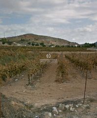 Finca rústica a Hondón de las Nieves