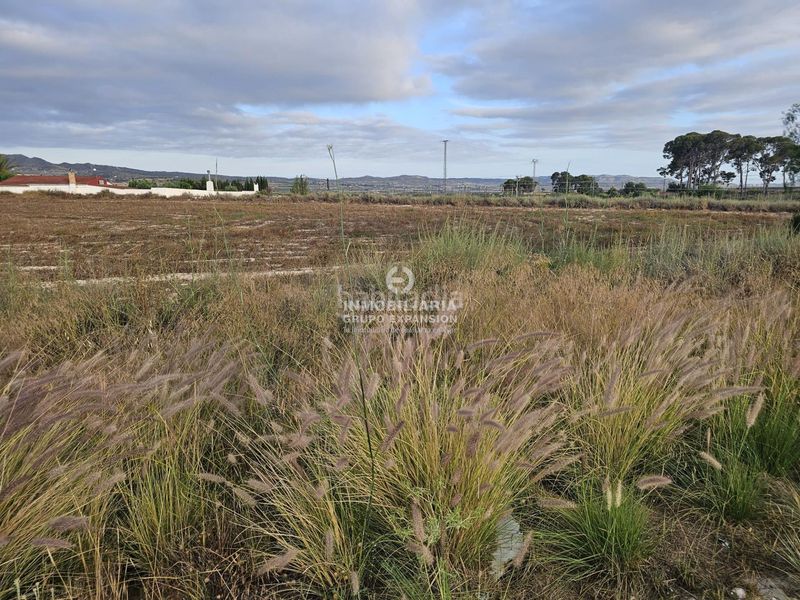 Foto eebe2269-09f2-4d6c-899d-67b3b049667b. Finca rústica a Novelda