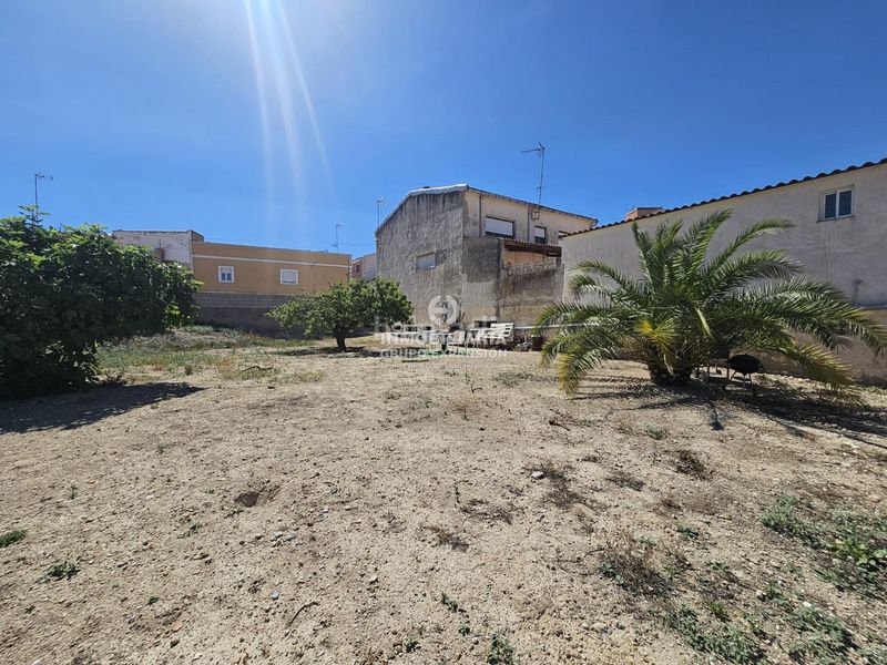 Foto d8cb13b6-275a-46de-92da-ad127b4e01ec. Casa a Monòver