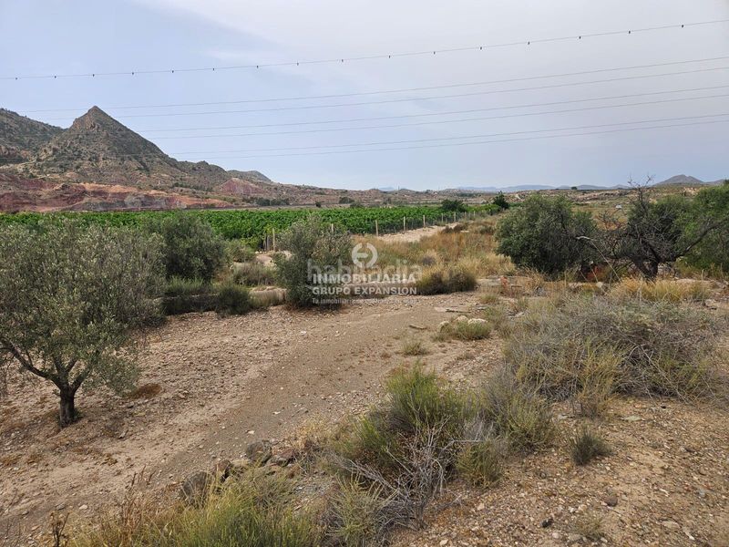Foto 17361e4a-b262-453d-8e2b-4cfcfba1c040. Xalet a Agost