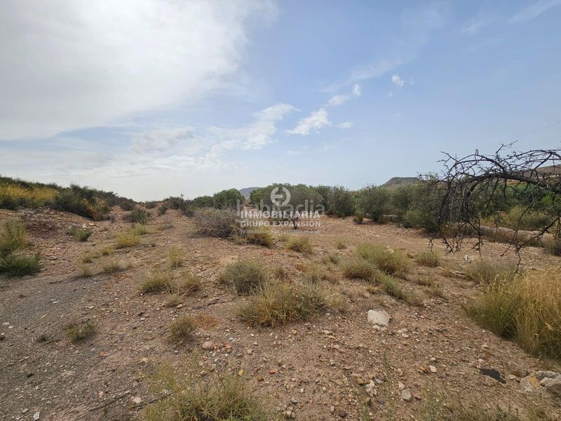 Foto 59f64382-4bc3-4040-8138-90af8d362713. Xalet a Agost