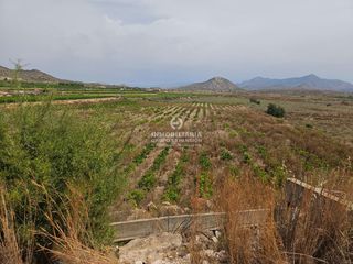 Rural plot in Novelda. Terreno en novelda de 14.000 metros muy bien situado