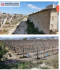 Propriété à Monforte del Cid. Terreno monforte del cid la capitana