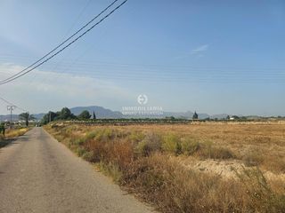 Finca rústica en Monforte del Cid
